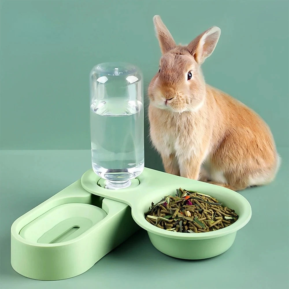 Small pet Water and food dispenser.