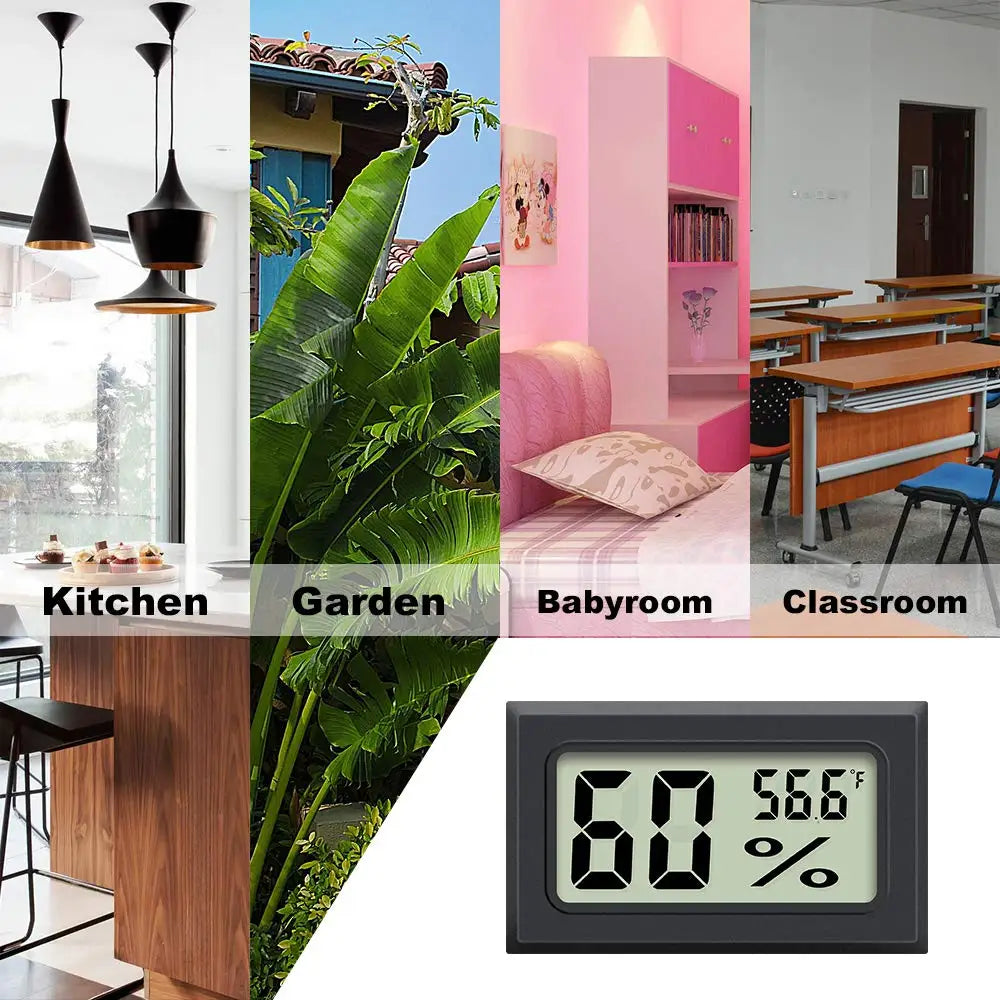 Digital vivarium thermometer.