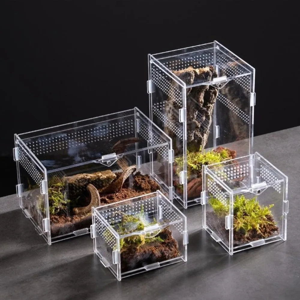 Durable Acrylic Reptile Habitat Clear box.