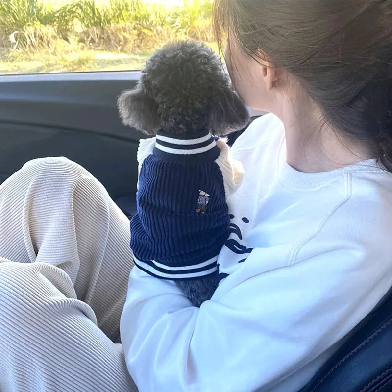 Baseball jacket style dog coat.