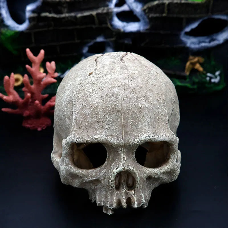 Reptile skull hide