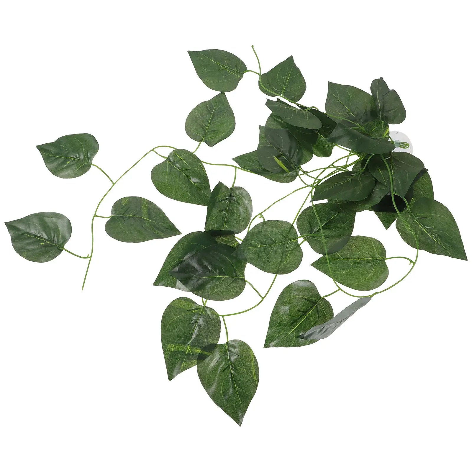 Reptile imitation plant.