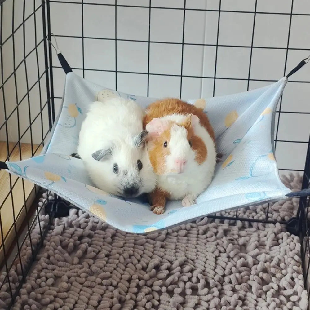 Small rodent hanging hammock.