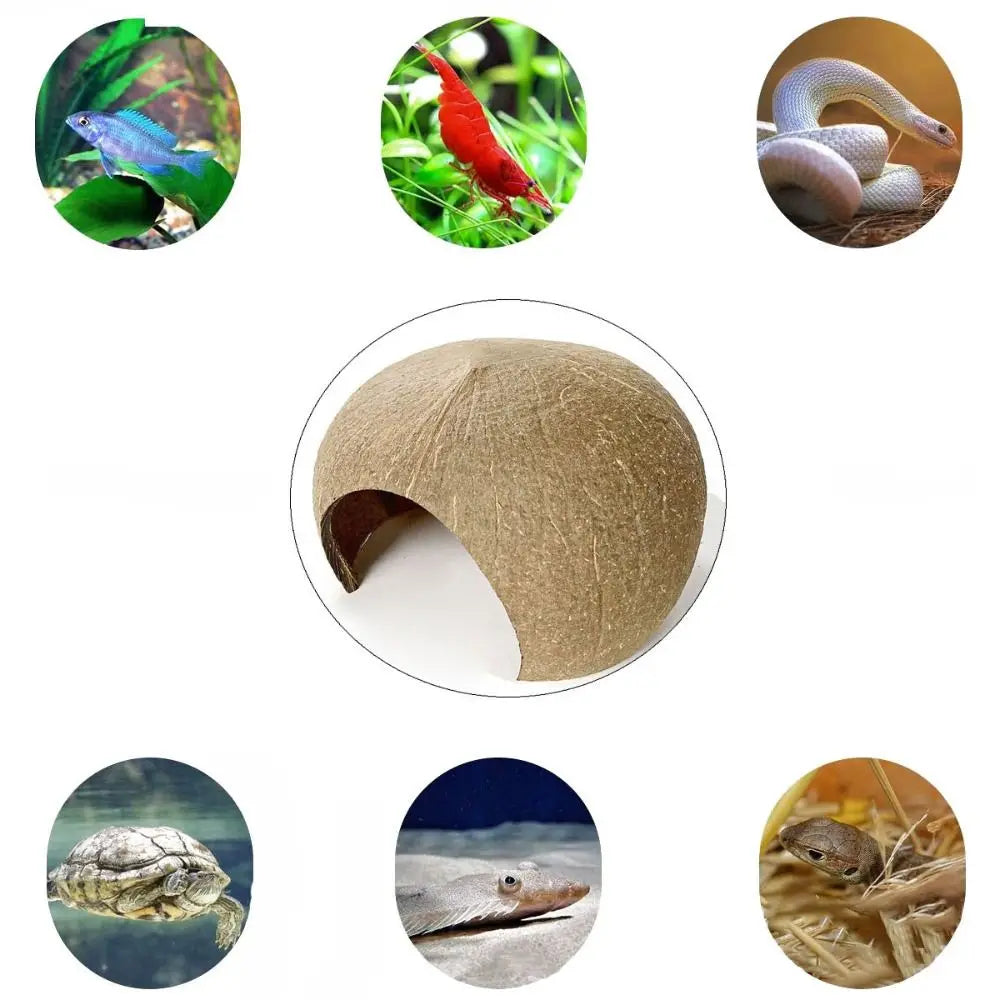 Coconut hide for small pet.