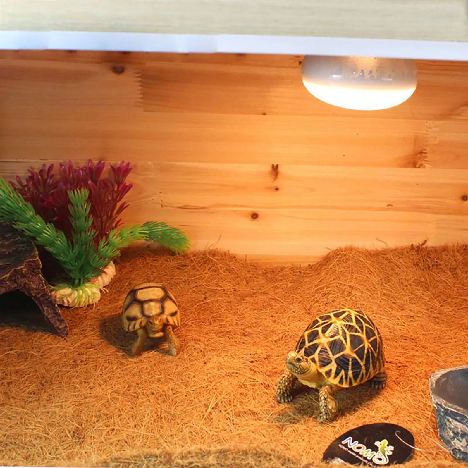 Reptile enclosure Coconut fibre mat.